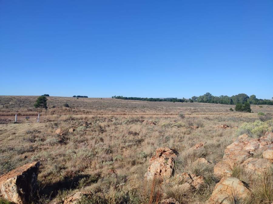4 Bedroom Property for Sale in Lichtenburg North West